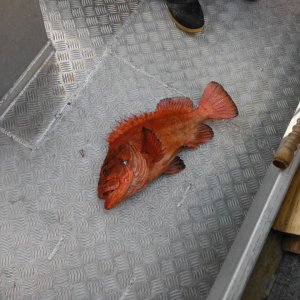 Fishing_trip_107