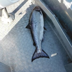 Fishing_trip_113