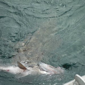 Fishing_trip_124