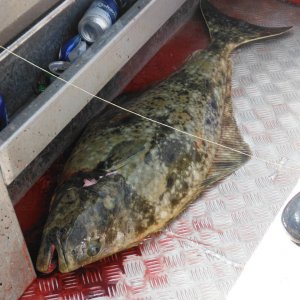Fishing_trip_132
