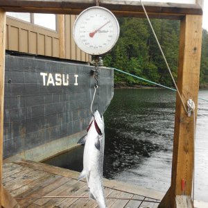 Fishing_trip_185