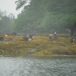 Fishing_trip_205
