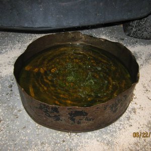 Picture_0241