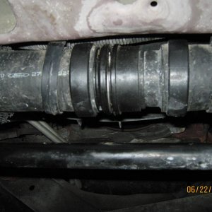 Picture_0252