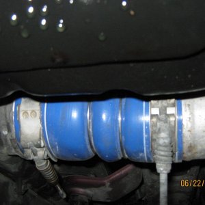 Picture_0261
