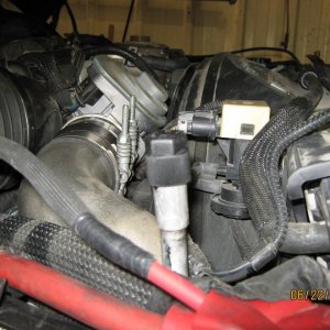 Picture_029