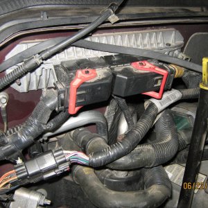 Picture_030