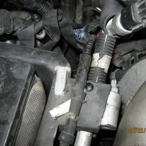 Picture_037