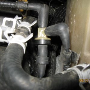 Picture_039