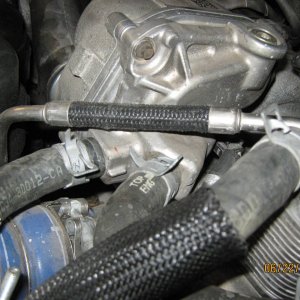 Picture_0441