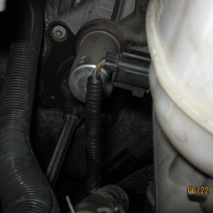 Picture_048