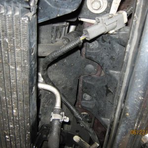 Picture_0511