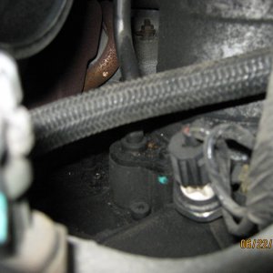 Picture_0571