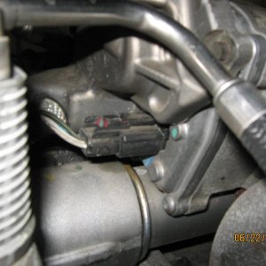 Picture_058