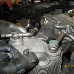 Picture_0611