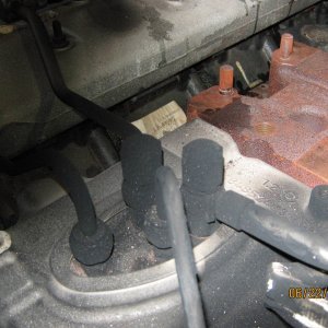 Picture_069