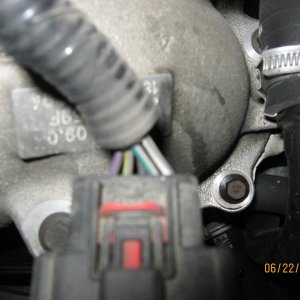 Picture_070