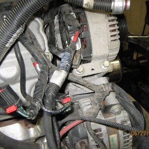 Picture_077