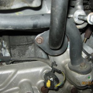 Picture_0781