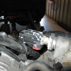 Picture_081