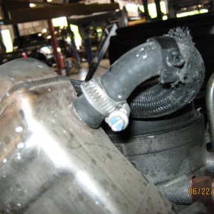 Picture_082