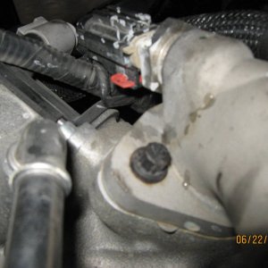 Picture_083