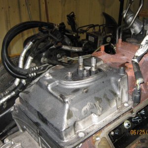 Picture_087