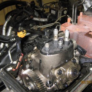 Picture_0881