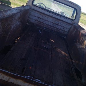 Ratty Rhonda