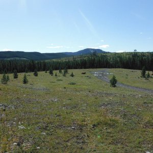 Quad_August_2012_007