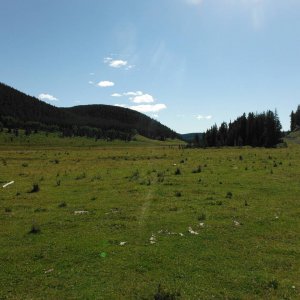 Quad_August_2012_011