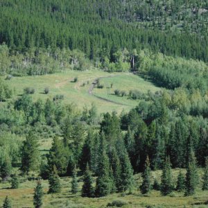 Quad_August_2012_013