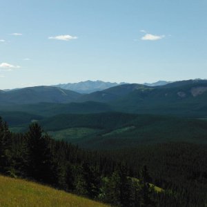 Quad_August_2012_020