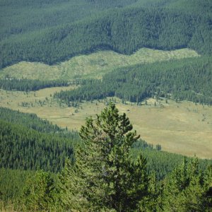 Quad_August_2012_030