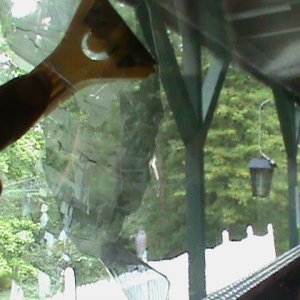 Window tint film removal