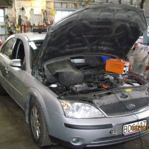 Mondeo
