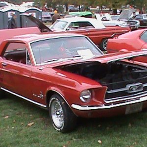 Mustangs at the Atwood fall fest.2012