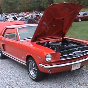 Mustangs at the Atwood fall fest.2012