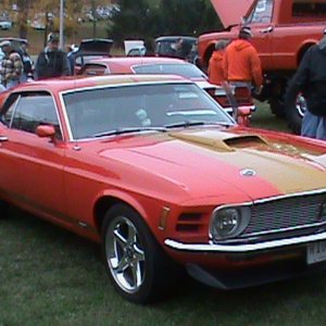 Mustangs at the Atwood fall fest 2012
