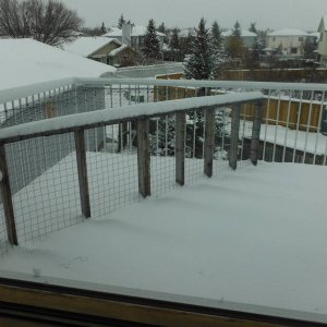 snow_0012