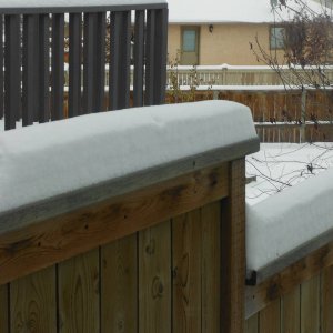 snow_006