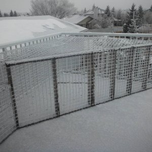 frosty_again_002