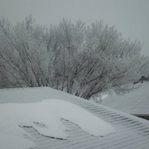 frosty_again_003