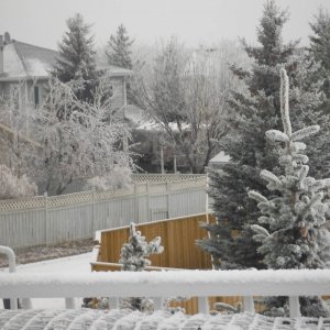 frosty_again_004