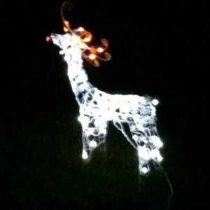 Ho_Ho