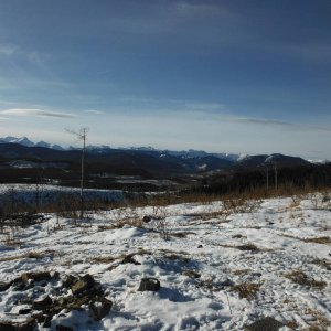 DSCF2635