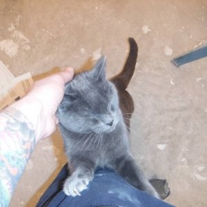 DSCF2785