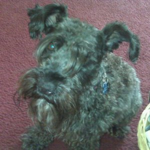 my baby