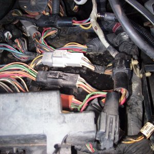 wiring