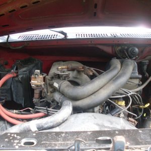 SDC10751